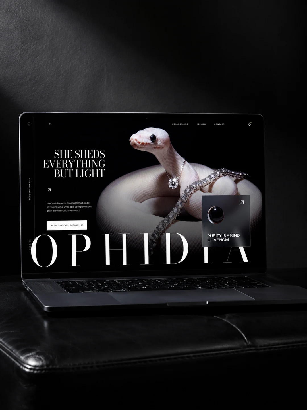 Ophidia — Fashion & beauty