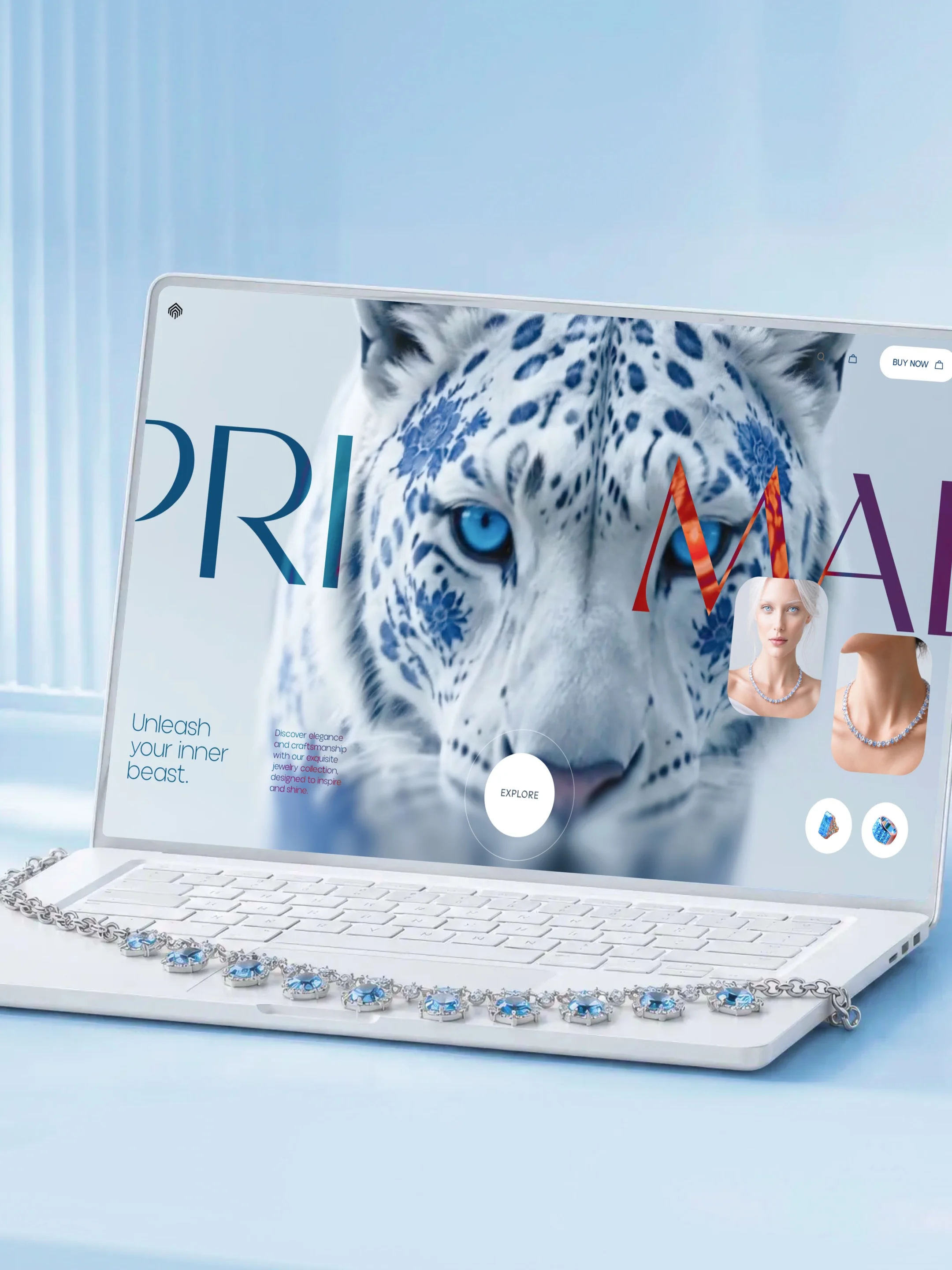 Primal — Lifestyle